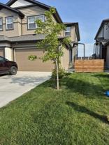 2512 152 Ave Nw - Photo 1 of 1