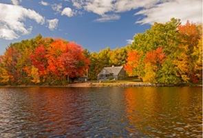 featured image of 146 Wellington Rd #NA