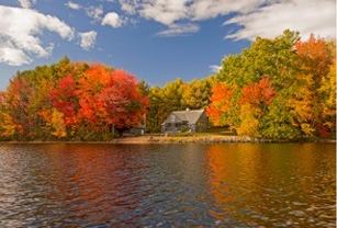 146 Wellington Rd #NA - Photo 1 of 1