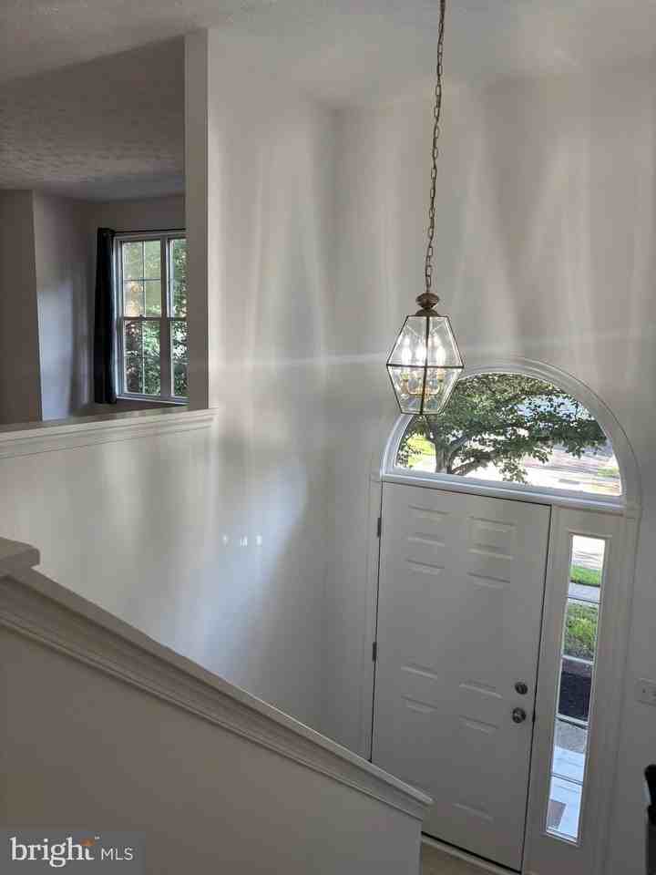 203 Timber Ln - Photo 3 of 17