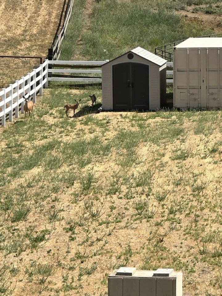 5680 Reindeer Pl - Photo 5 of 25