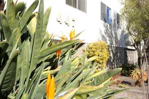 featured image of 447 Orange St