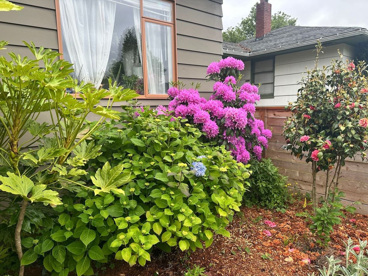 5225 36th Ave Sw - Photo 2 of 23