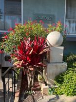 1329 E 1st St #37 - Photo 1 of 1
