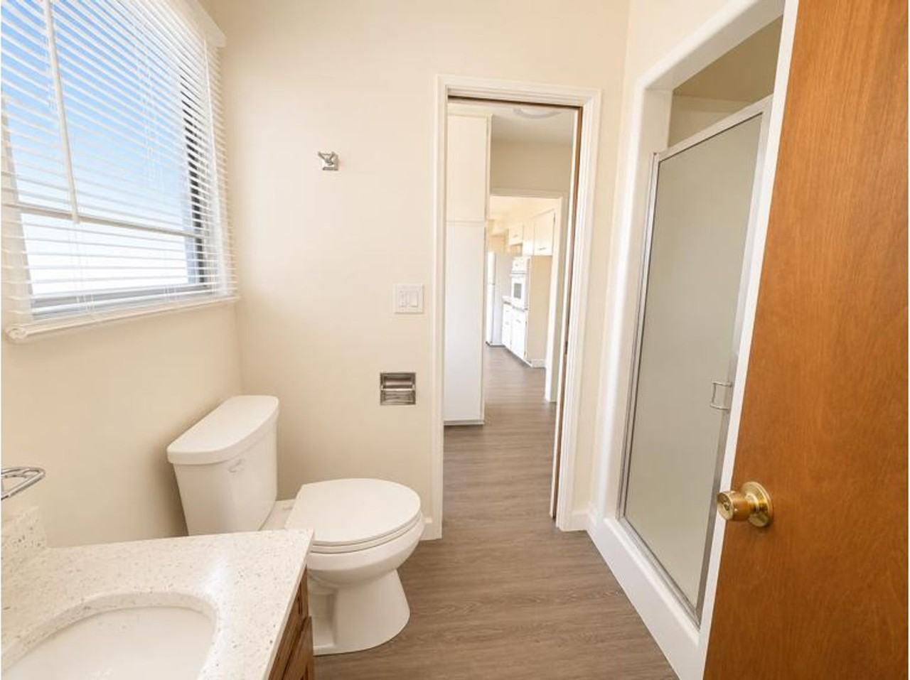 5240 Prosperity Ln - Photo 7 of 11