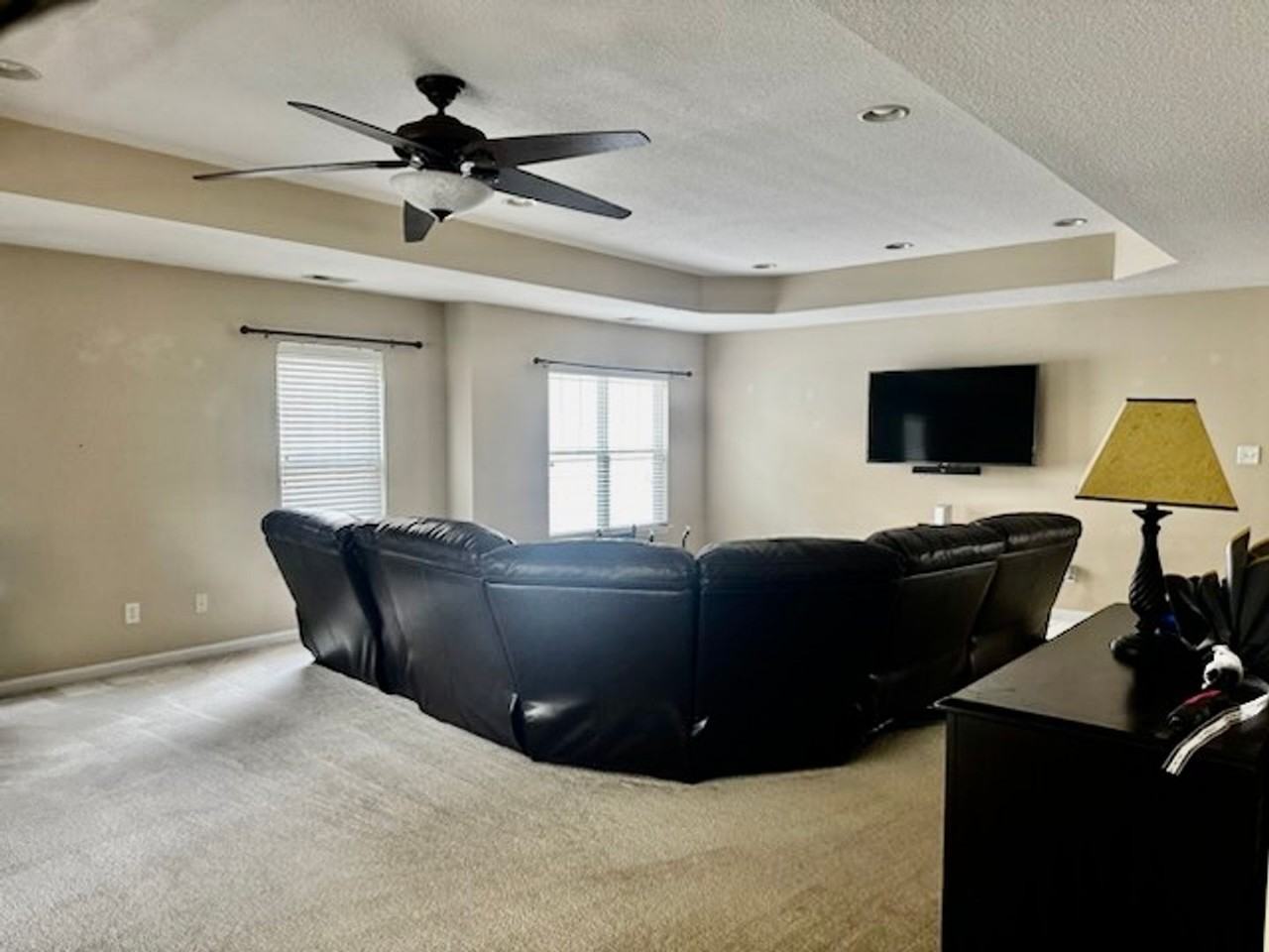 949 Turtle Pond Ln - Photo 4 of 11
