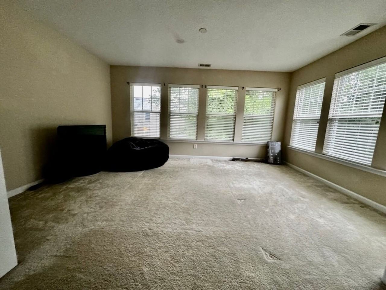 949 Turtle Pond Ln - Photo 6 of 11