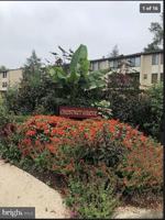 featured image of 11-8 Aspen Way #11-8