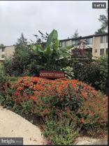 11-8 Aspen Way #11-8 - Photo 1 of 1