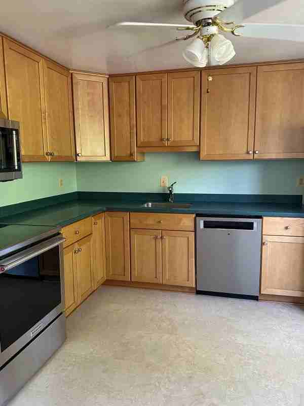 9012 Piney Grove Dr - Photo 3 of 14