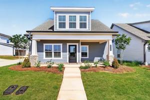 featured image of Palmetto Avenue #NA