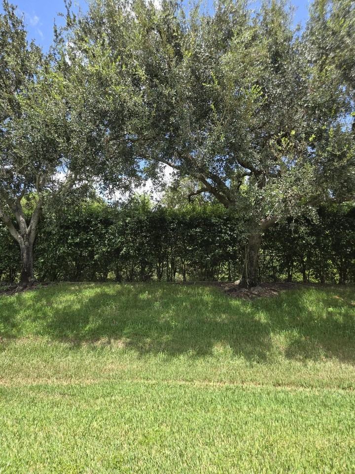 2680 Clipper Cir - Photo 3 of 20