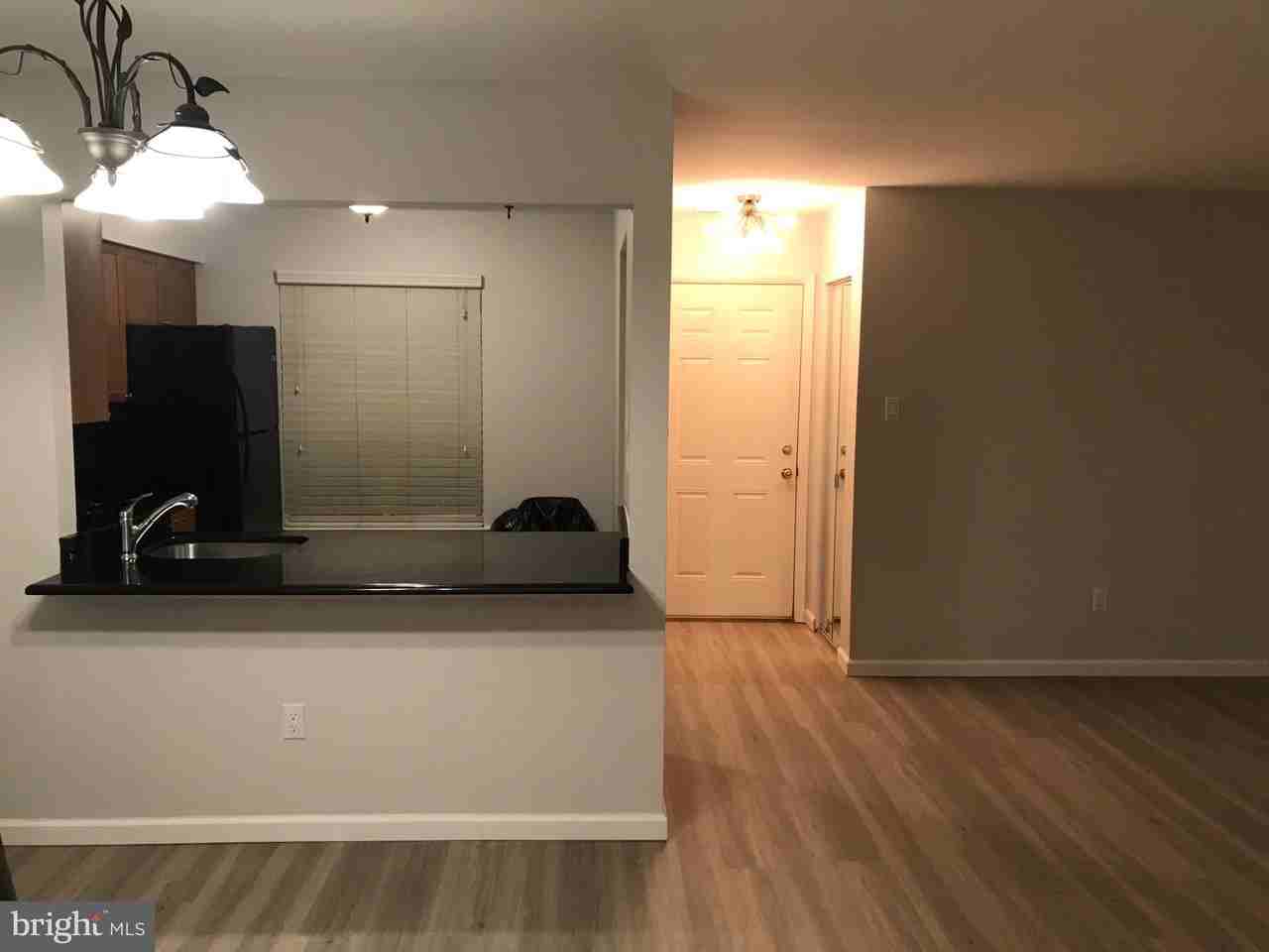 549 Shetland Ct - Photo 4 of 16