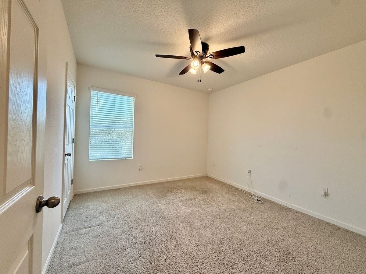 259 Forest Trace Cir - Photo 3 of 30
