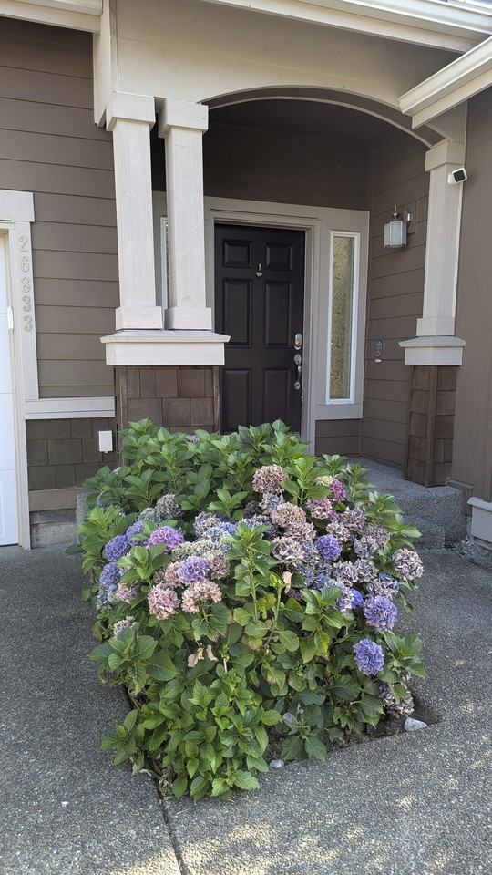 26833 225th Ave Se #NA - Photo 2 of 34