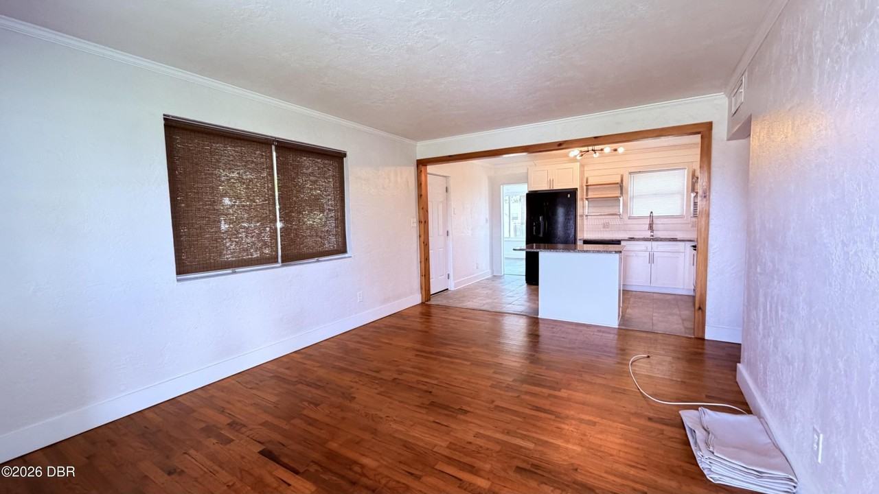 481 Wild Olive Ave - Photo 7 of 27