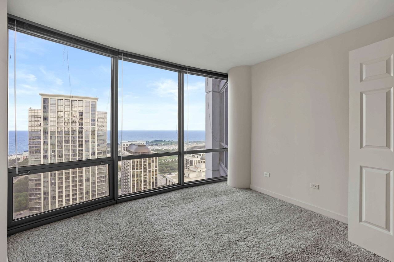 1265 S Michigan Ave - Photo 5 of 12