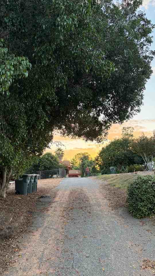 1527 Calavo Rd - Photo 3 of 20