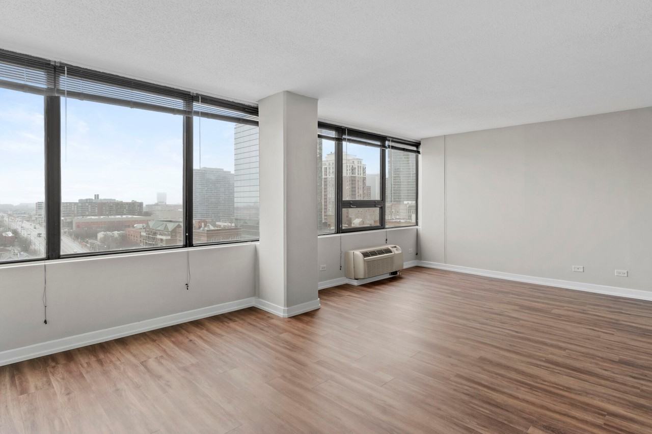 1213 S Michigan Ave - Photo 3 of 10