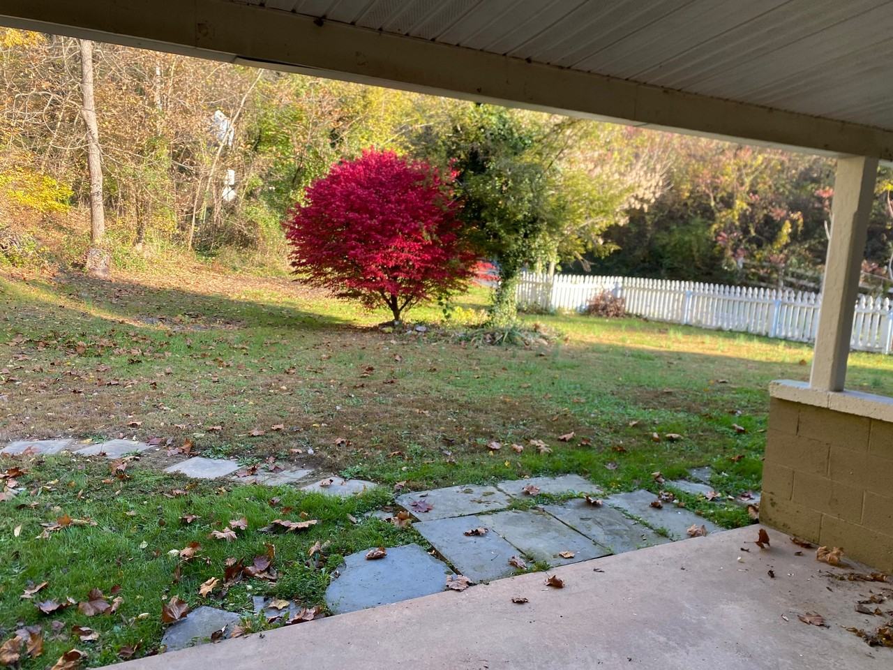7356 River Rd - Photo 2 of 19
