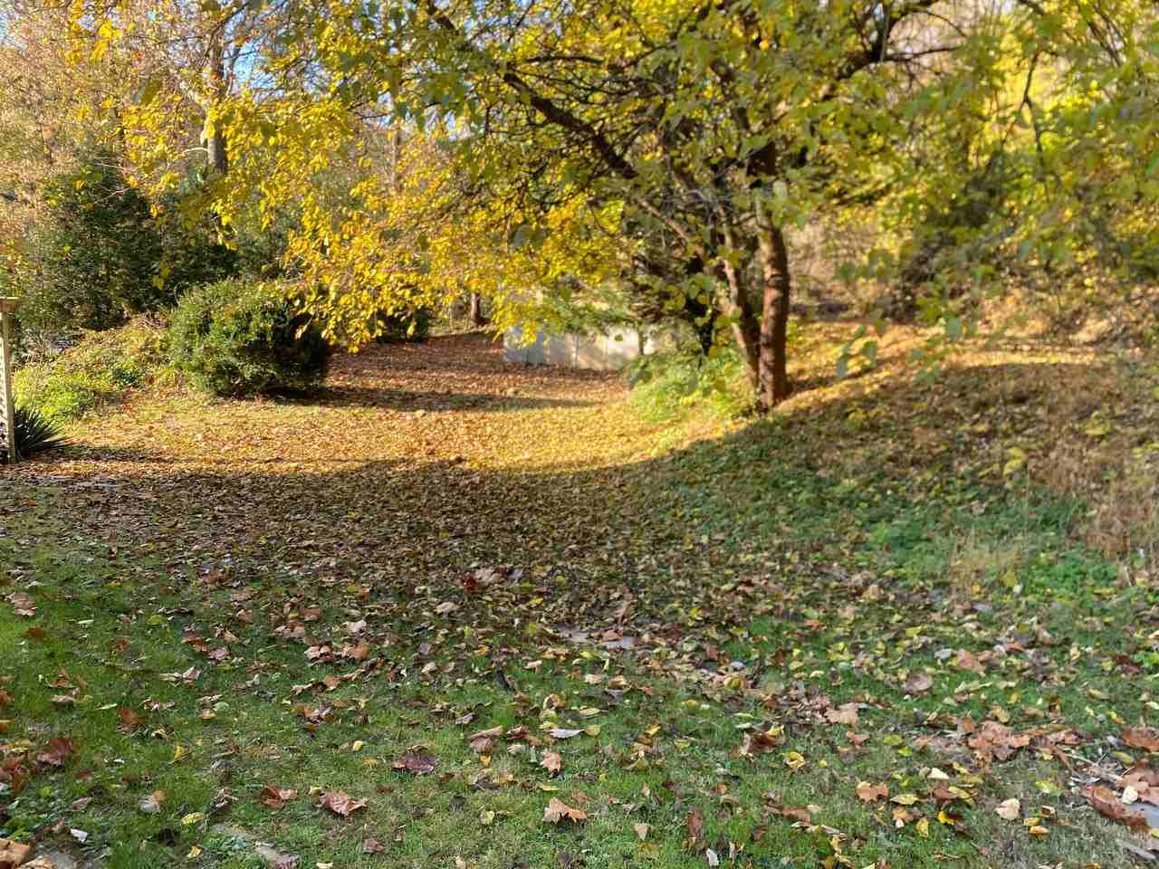 7356 River Rd - Photo 3 of 19