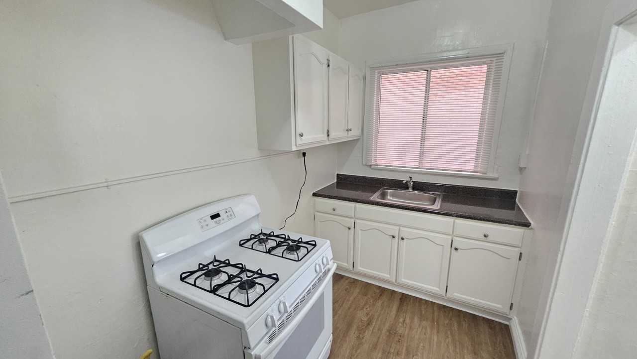 815 South Lake Street #101 - Photo 4 of 9