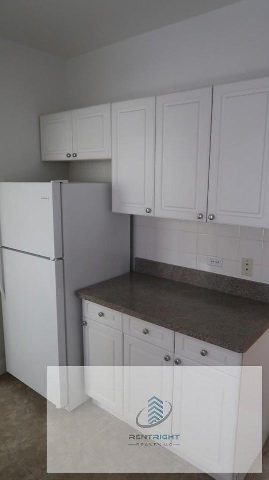 4846 W Hutchinson St #4848-3B - Photo 2 of 18