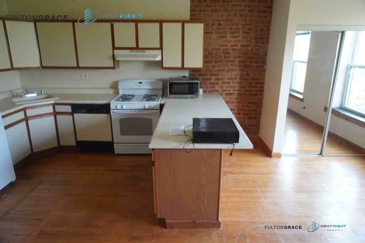 1253 W Devon Ave #2E - Photo 3 of 19