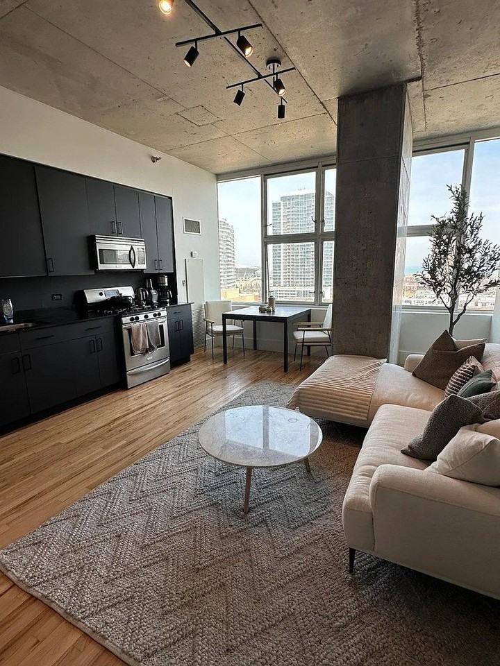 1720 S Michigan Ave #1207 - Photo 2 of 13