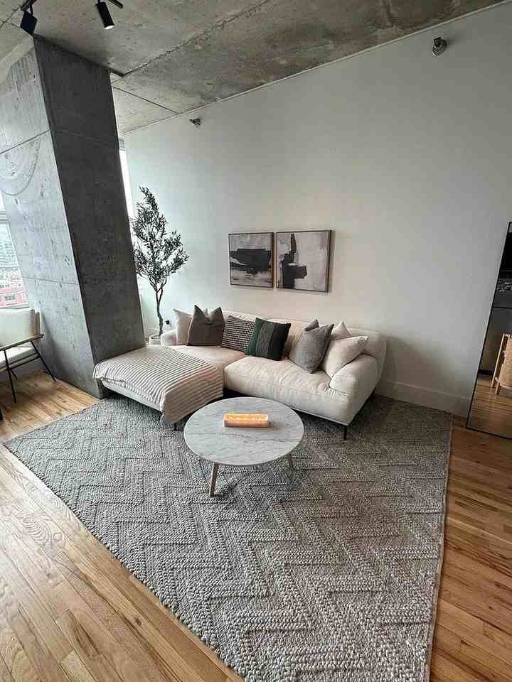 1720 S Michigan Ave #1207 - Photo 3 of 13