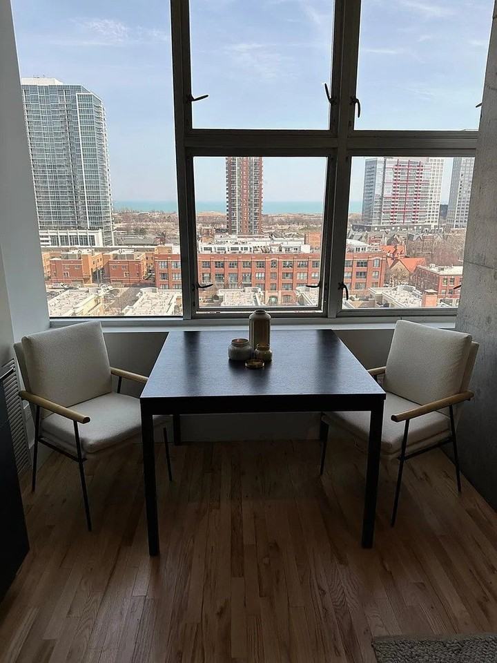 1720 S Michigan Ave #1207 - Photo 4 of 13