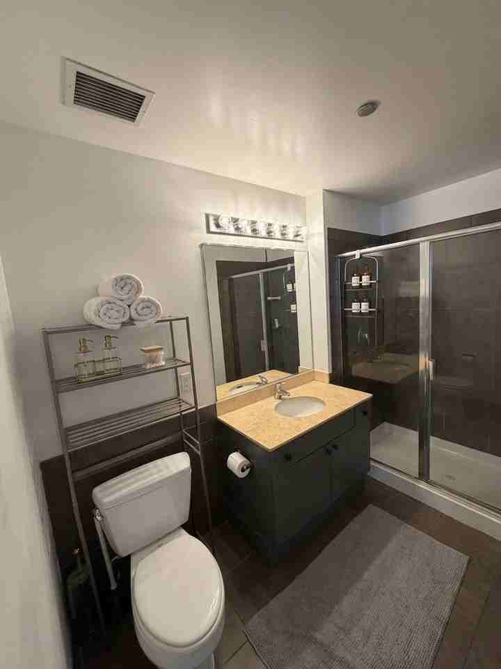 1720 S Michigan Ave #1207 - Photo 7 of 13
