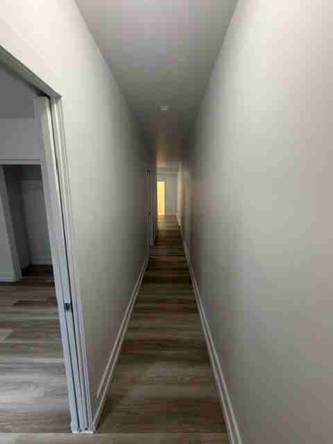 6267 Avenue Casgrain - Photo 4 of 10