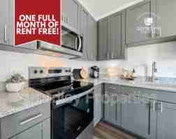 featured image of 710 Shine St #1201