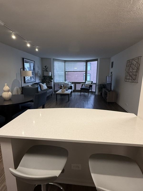 1135 N Dearborn St #0402 - Photo 4 of 10
