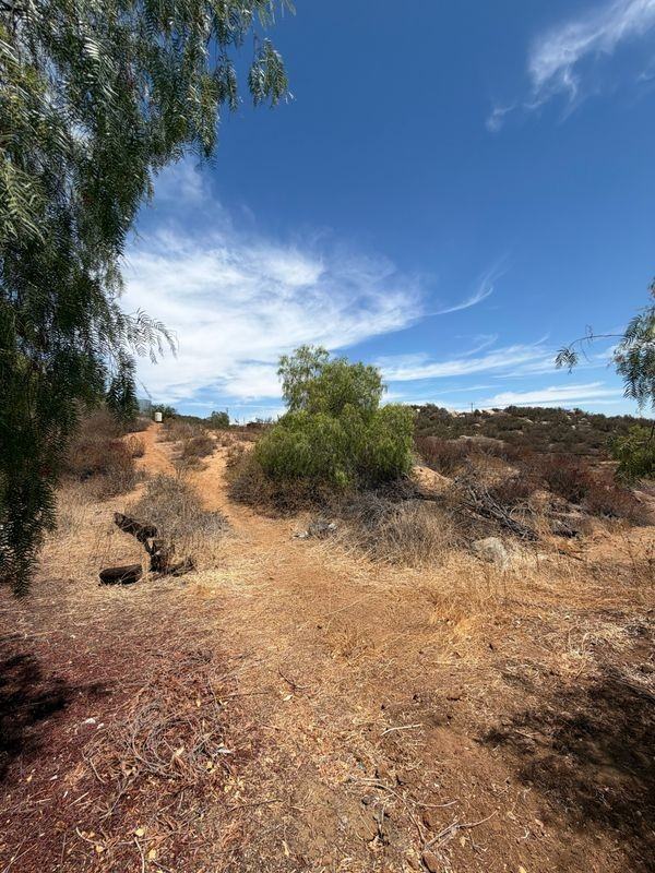 35600 Mitchell Rd - Photo 3 of 3