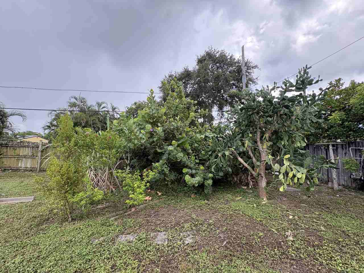 440 Nw 135th St Unit B - Photo 6 of 6