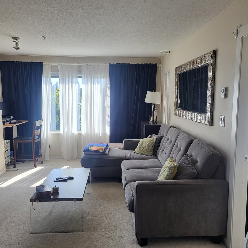 4728 Dawson Street #317 - Photo 7 of 16