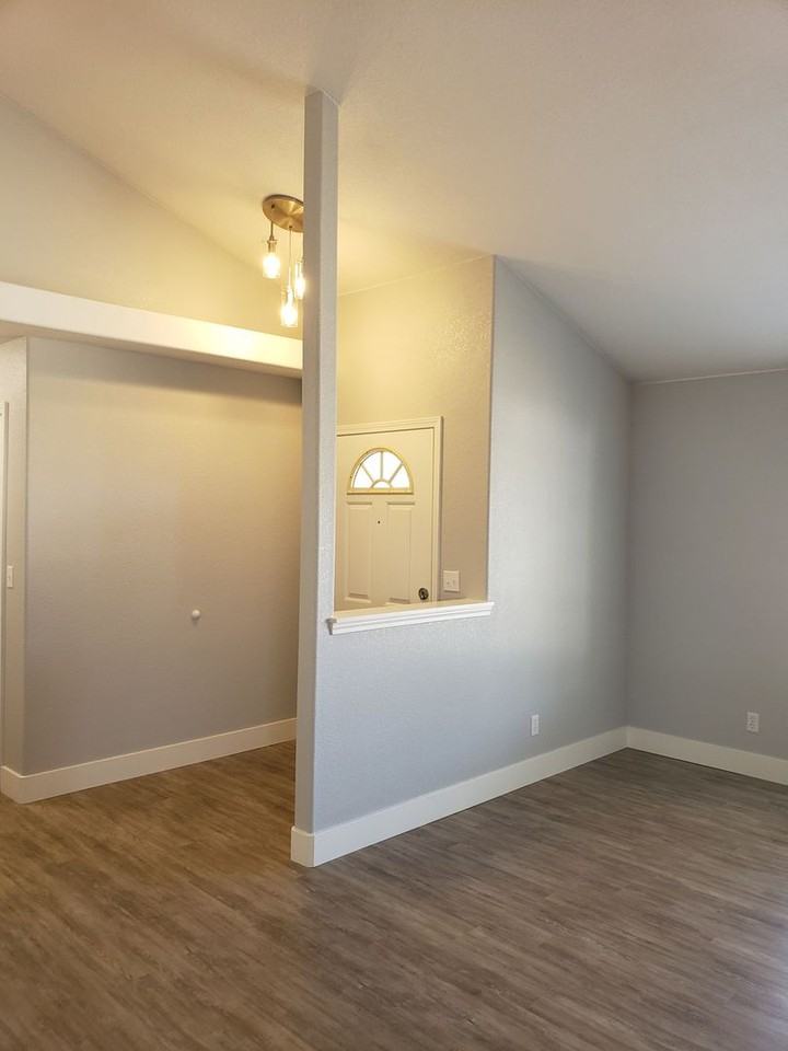 586 Springer Dr - Photo 4 of 19