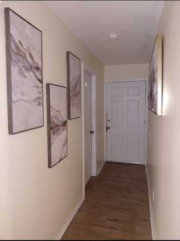 362 Elizabeth St - Photo 3 of 11