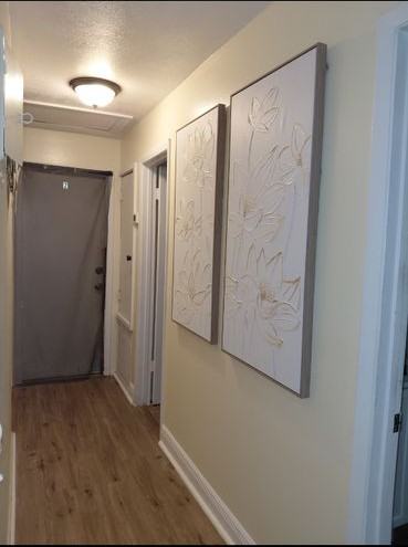 362 Elizabeth St - Photo 4 of 11