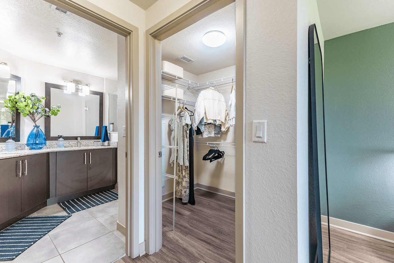 Palm Ranch - Photo 5 of 22