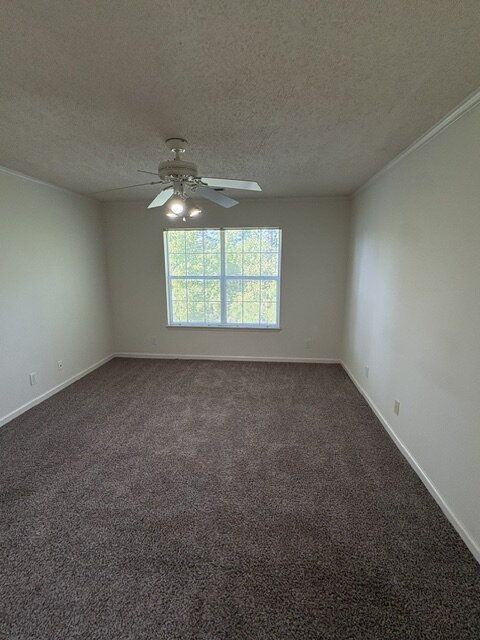 2924 Mulberry Ln - Photo 6 of 17
