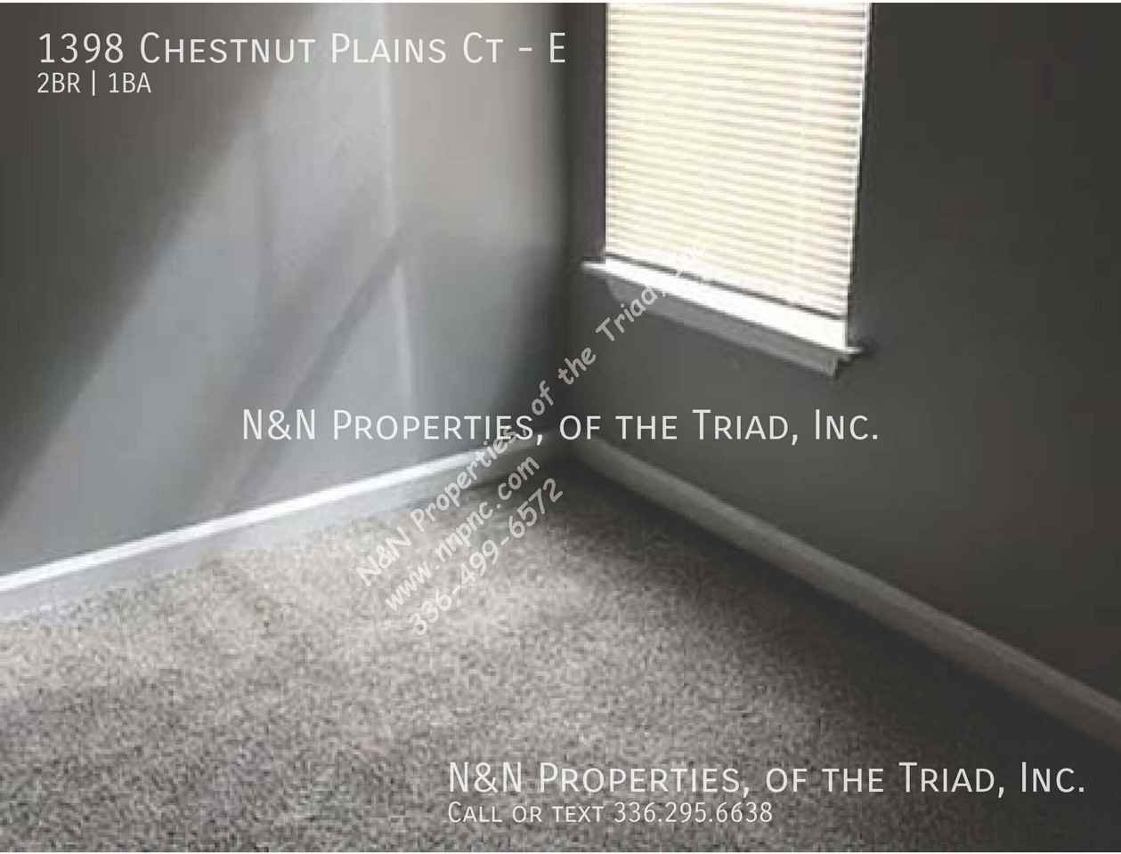 1398 Chestnut Plains Ct #E - Photo 7 of 22