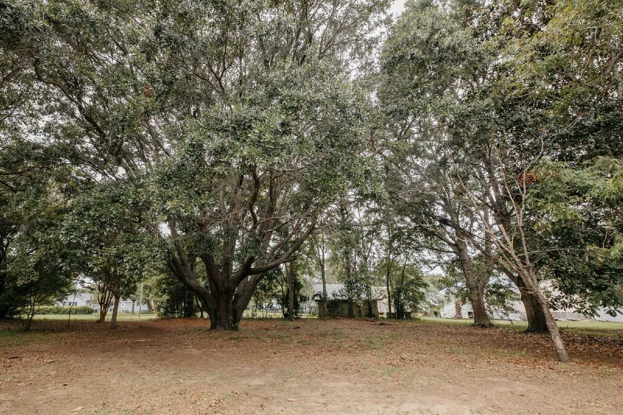 1723 Folly Rd - Photo 7 of 50