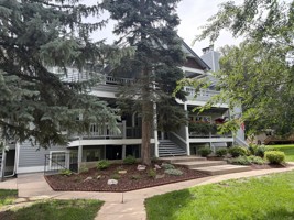 featured image of 1601 W Swallow Rd