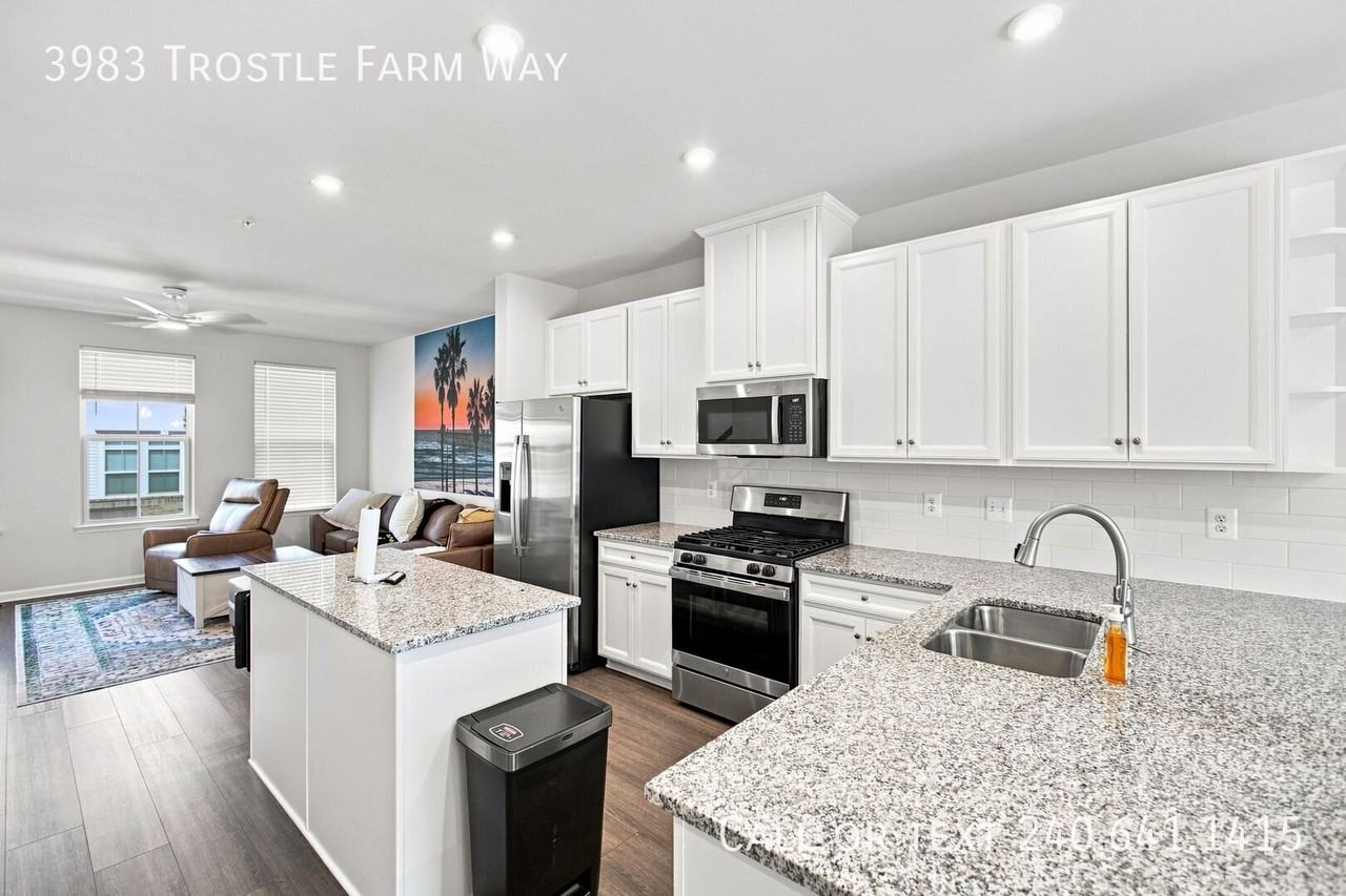3983 Trostle Farm Way - Photo 5 of 16