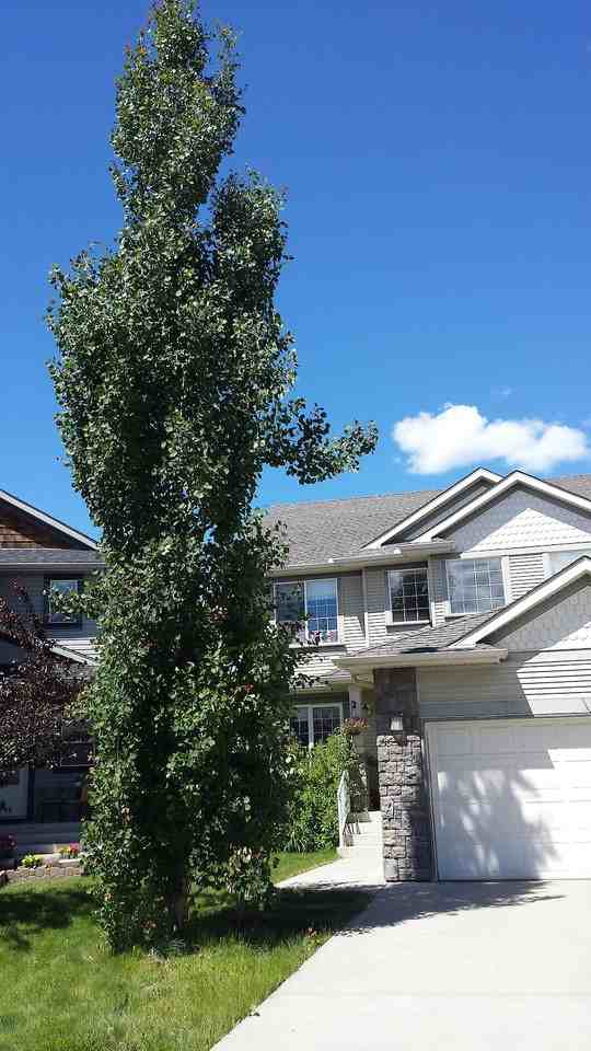 55 Cougarstone Way Sw - Photo 2 of 35