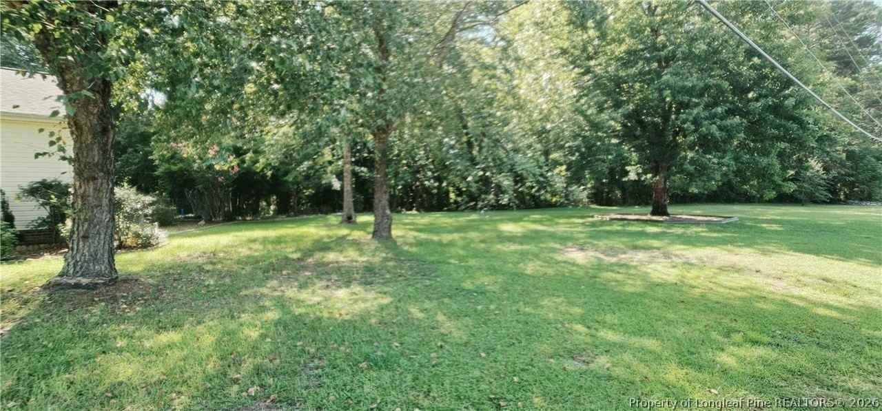 557 N Parker Church Rd - Photo 3 of 30