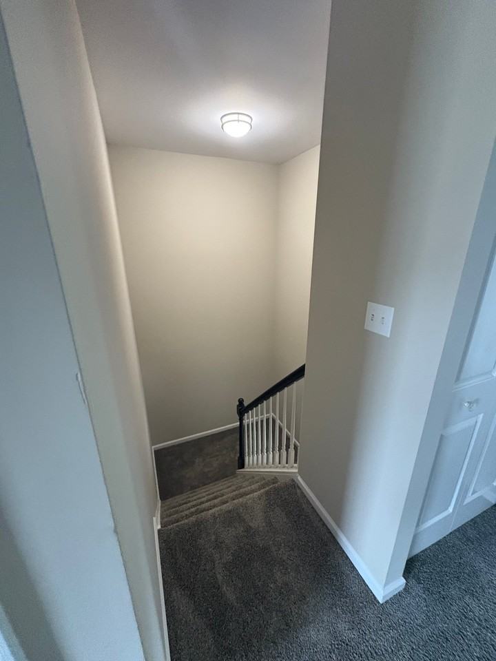 209 Wild Cherry Ln - Photo 5 of 11
